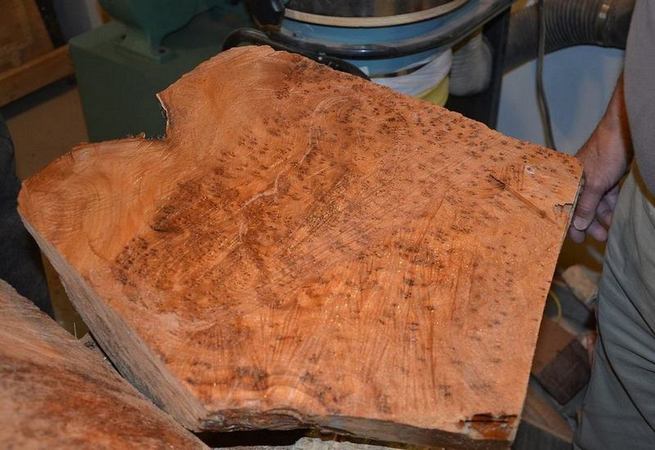 The Burl Cutting